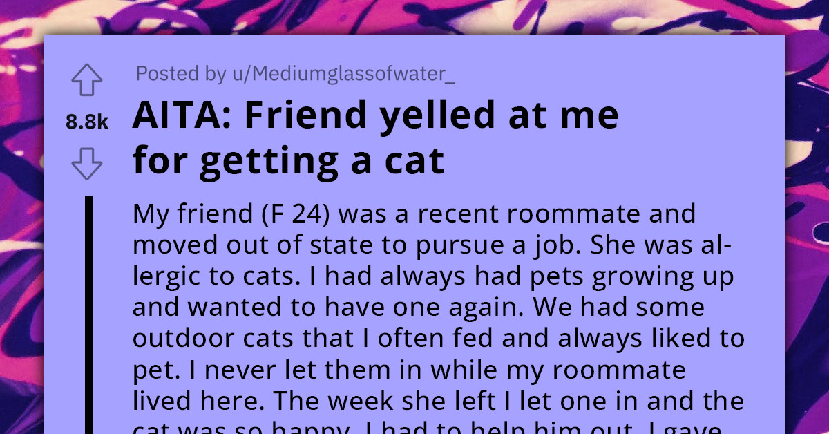 Allergic Ex-Roommate Yells At Redditor For Adopting Cat After She Moved Out, Contaminating All Her Belongings She Was Storing In Redditor's Home