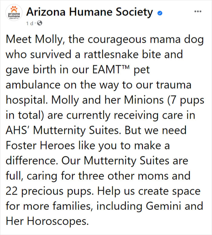 The Arizona Humane Society (AHS) writes: