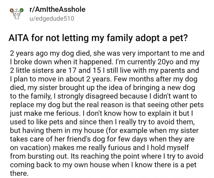 Two Years After Losing Their Family Dog, Brother Still Aggressively