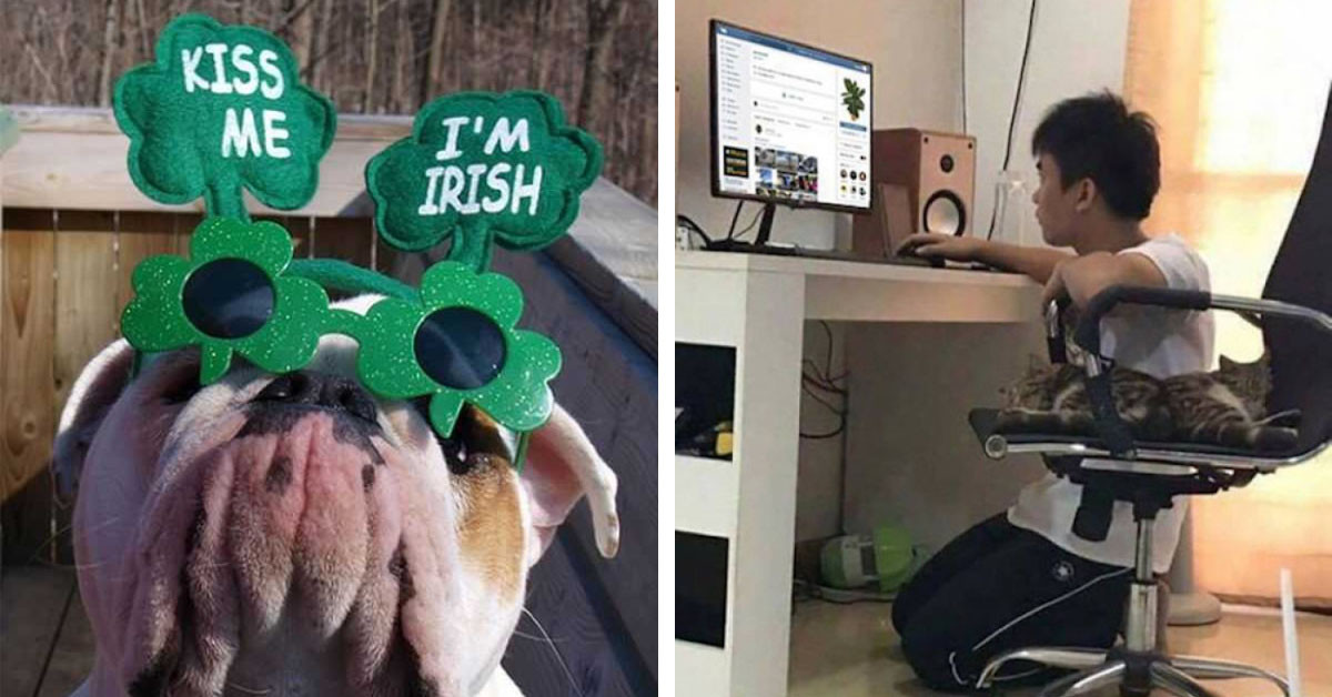 A Collection Of Today's Funniest St. Patrick's Day Pictures And Memes