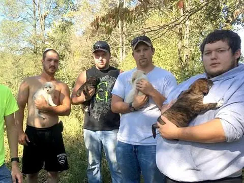 These men didn't expect to be caring for puppies when they left for the woods in Tennessee for a bachelor party.