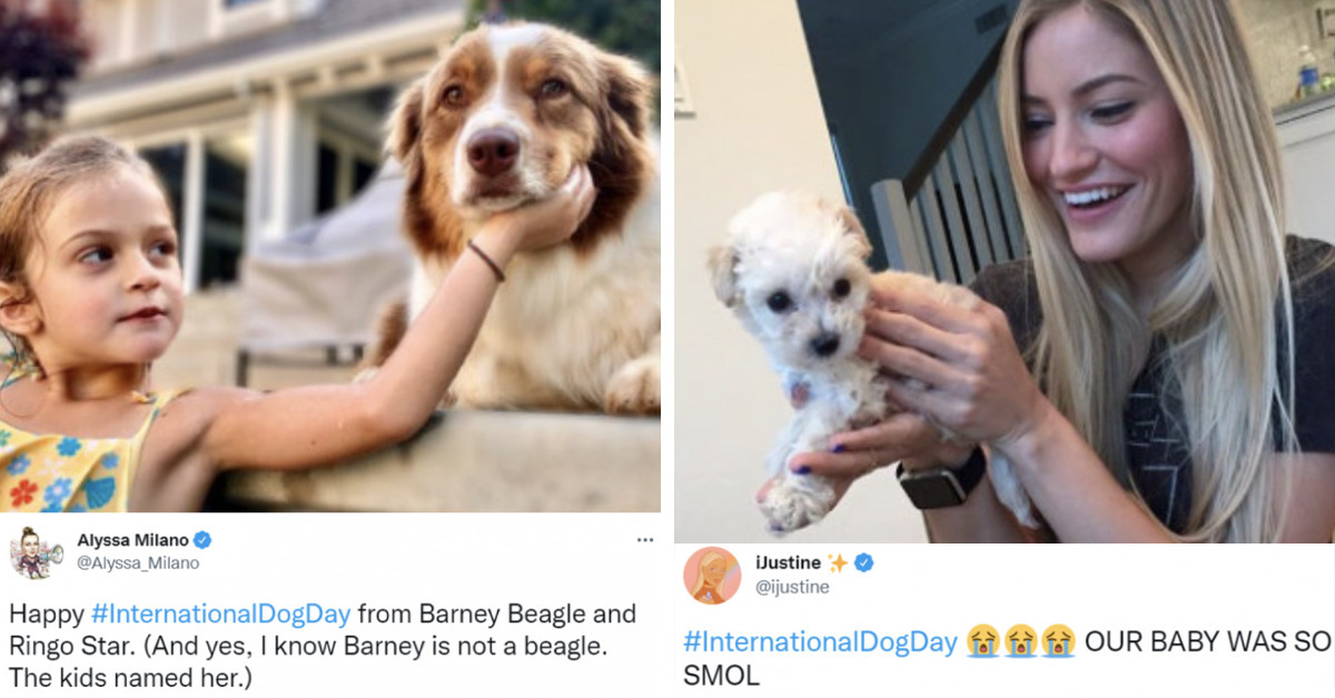 11 Celebrities Honor The International Dog Day And Show Affection For Their Four-Legged Friends