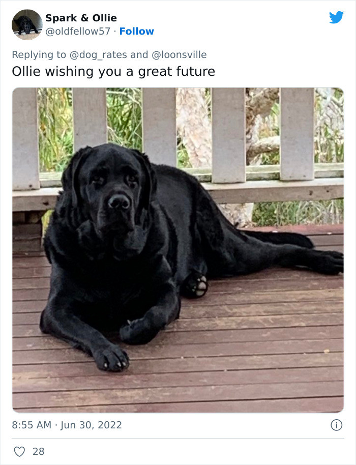 Thank you, Ollie