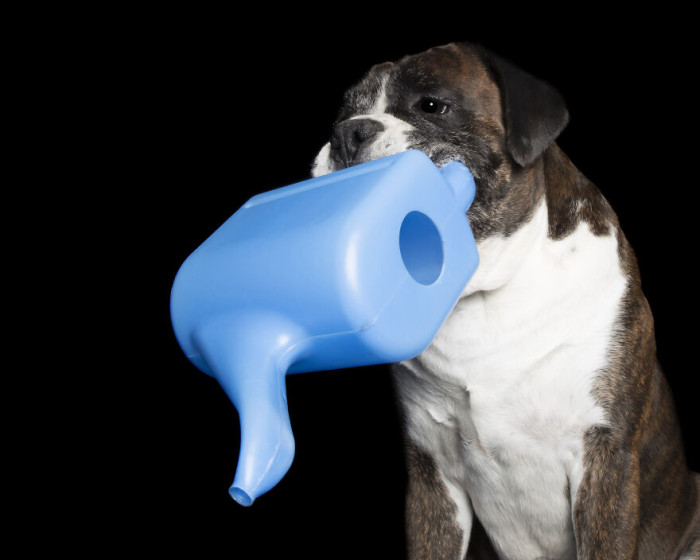 6. Dozer And The Watering Can