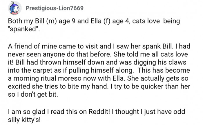 These kitties love spankings