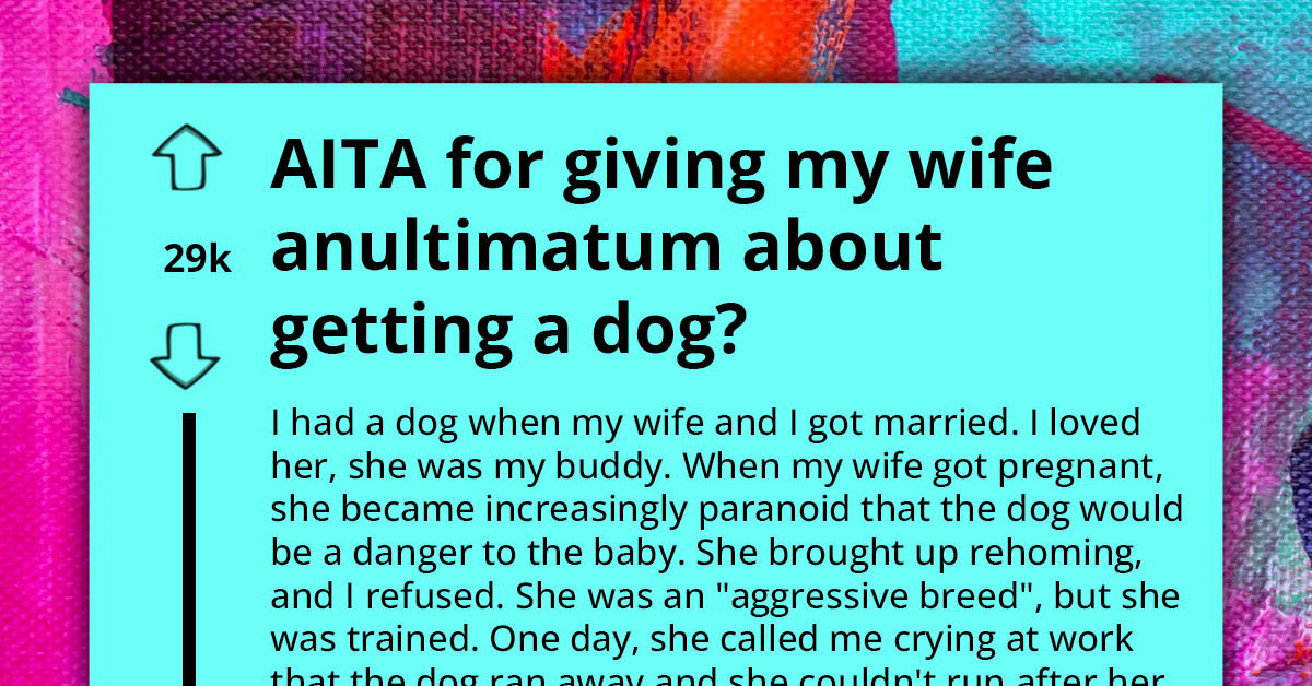 Husband Finds Out The Truth About His Dog Running Away Five Years Earlier - His Wife And FIL Surrendered It To Shelter While He Was At Work