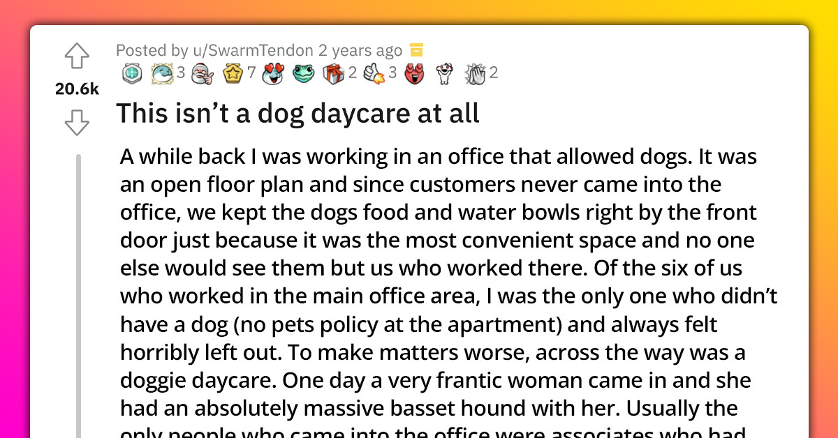 Wholesome Story About Redditor Who Realized He Wasn’t In Trouble For Using The Office As A Dog Daycare