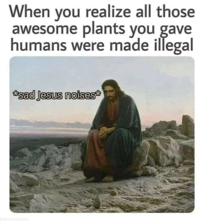 29. Illegal plants