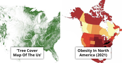 Explore 31 Maps That Expose Unexpected Facts About Everyday America