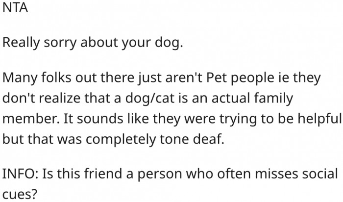 8. Many people don't understand pets are family members.