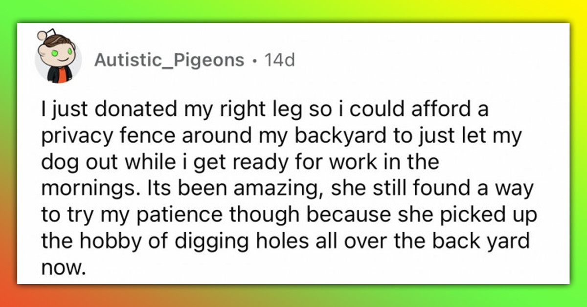 Dog Owner Is Curious On Why Dogs Are Sniffing Around Before Pooping And The Redditors' Thoughts Are Absolutely Hilarious