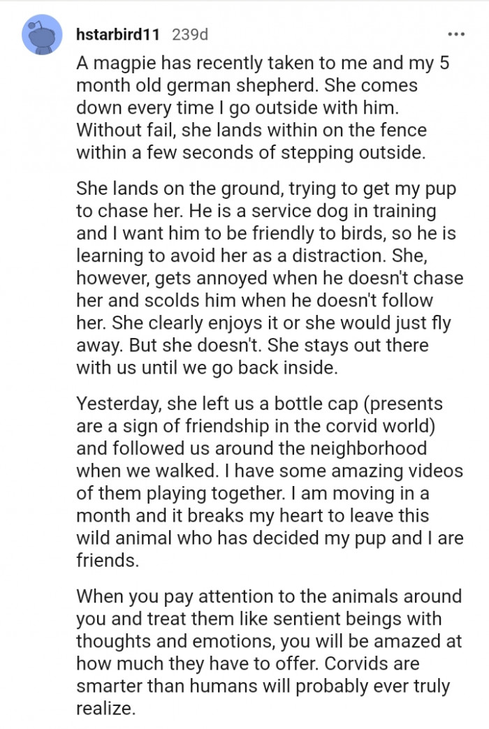 Here is another Redditor with an interesting story