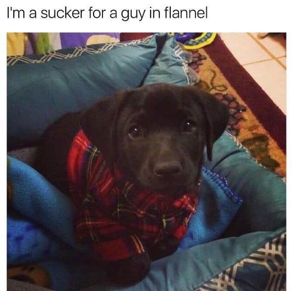 A guy in a flannel