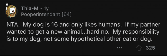 OP's responsibility is to his cat, not some hypothetical dog.