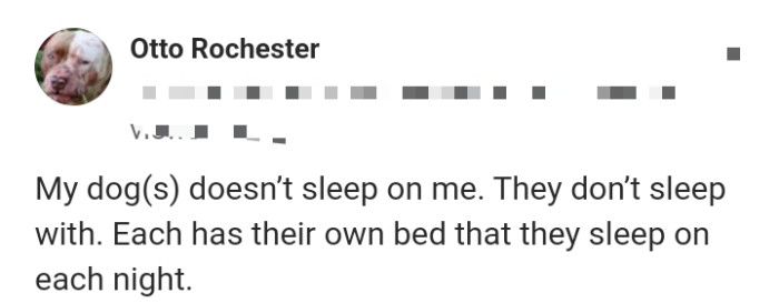 20. This commenter says their dogs has their own beds