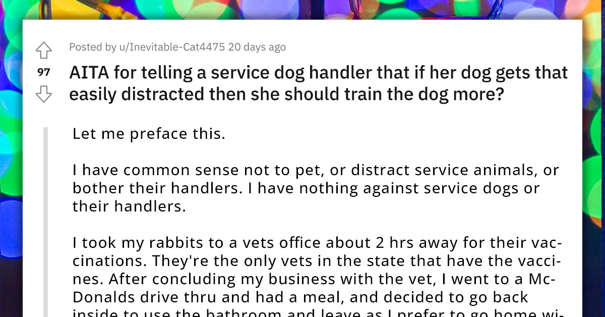 Redditor Tells A Service Dog Handler To Train Her Dog More After It Got ...