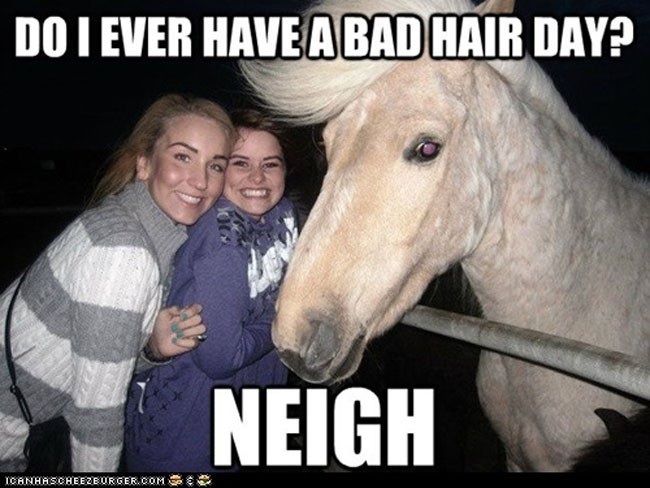 Well we can't speak for everyone but this horse sure never hs a bad hair day. The joke was bad though.