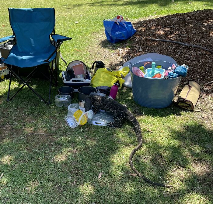 15. Leaving an unattended picnic in Australia poses risks due to local wildlife and unpredictable weather.
