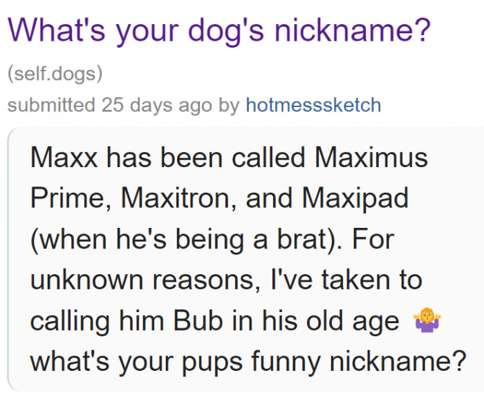 A Redditor was curious about what nicknames other pet owners gave their dogs.
