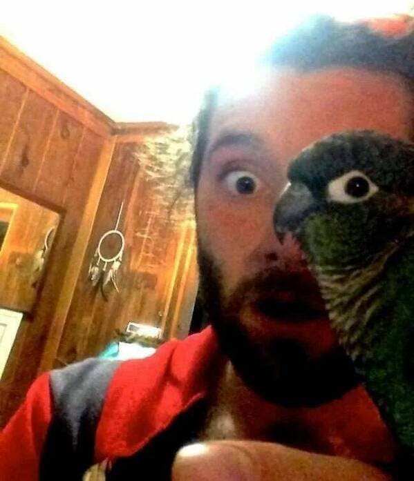 38. I and my other eyed pet