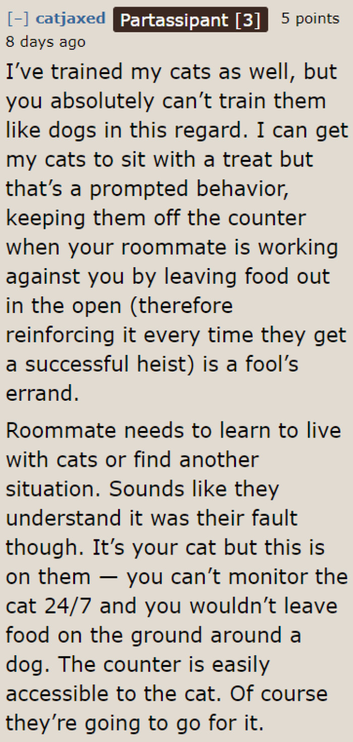 The roommate needs to get used to the cat and be careful next time, according to this Redditor.