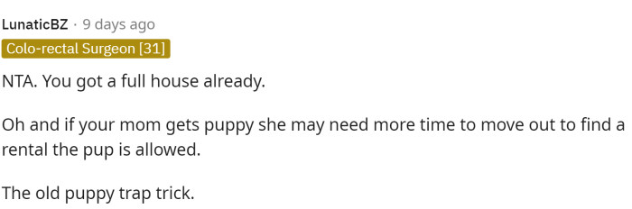 This is true that she will need the space and if her mom gets a puppy then it will take her longer to find a place to live with it.