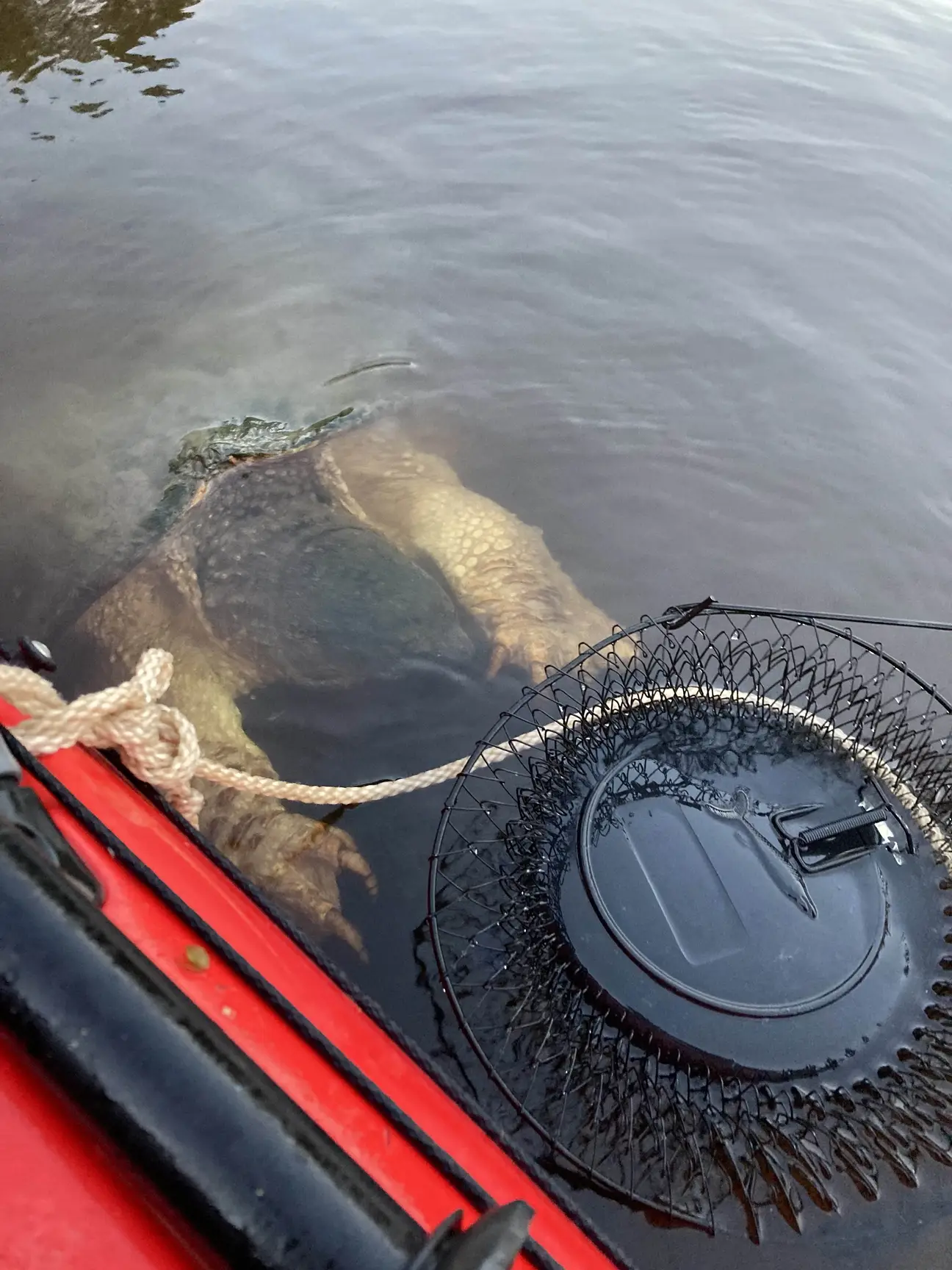 While they were quietly fishing from their kayak, a massive creature suddenly surfaced, leaving them both terrified.