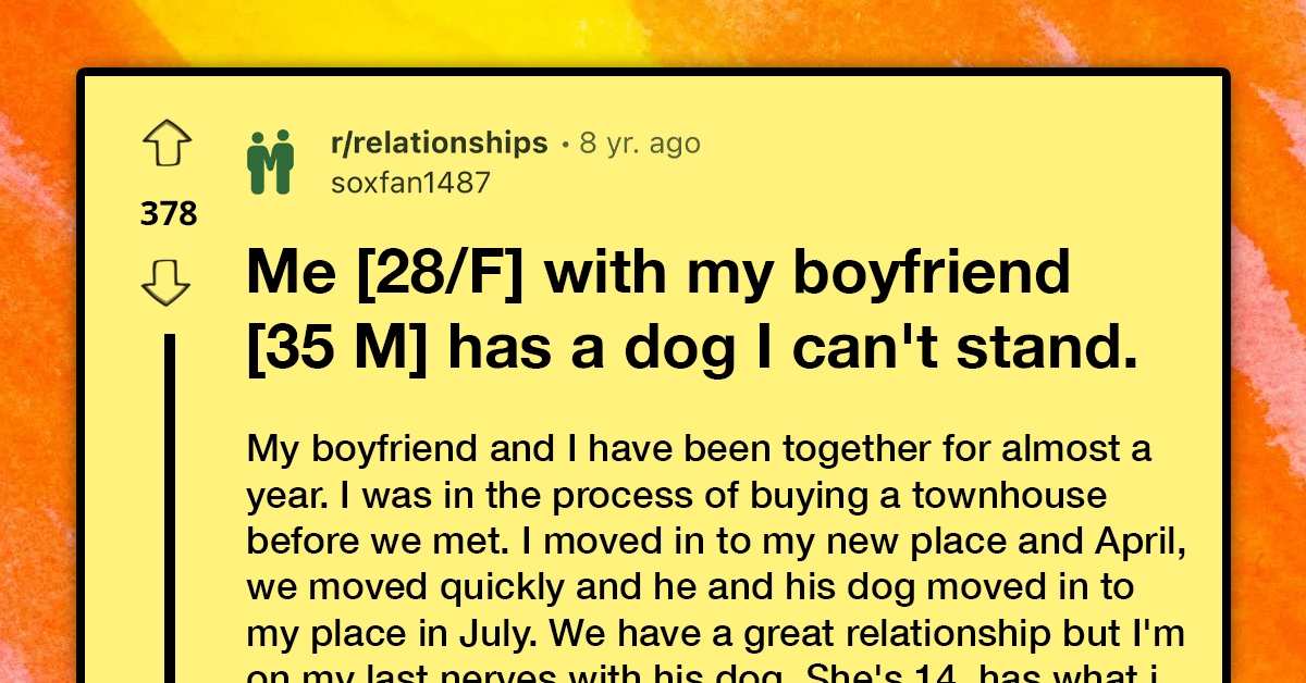 Redditor Can't Stand Boyfriend's Elderly Dog Because She Can't Control Her Bladder