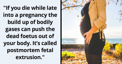 35 People Share Mildly Disturbing Facts That They Know And We Are So Ready To Hear Them