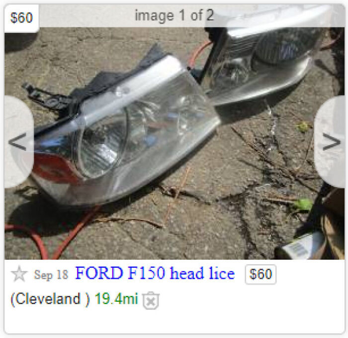 38. Head Lice For Sale