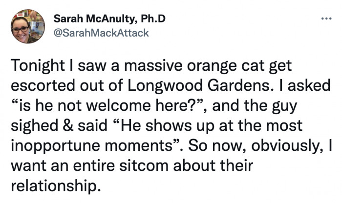 Dr. McAnulty recalled the amusing and mysterious interaction she witnessed. We support the request to have a camera crew follow the cat's every move!