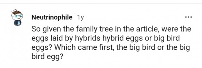 We're the eggs laid by hybrid eggs or big bird eggs?
