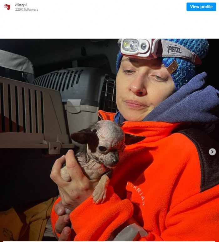 Polish charity workers have dedicated themselves to rescuing vulnerable animals from dangerous conditions across the Ukraine border.