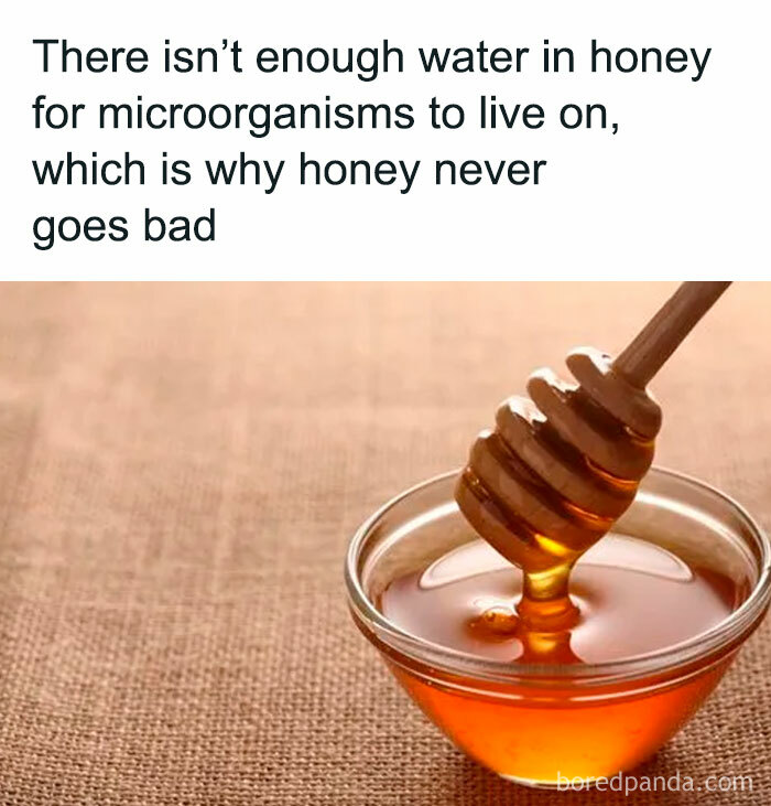 3. Why honey never goes bad