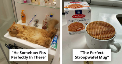 50 Satisfying Moments When Random Things Fit Together Perfectly