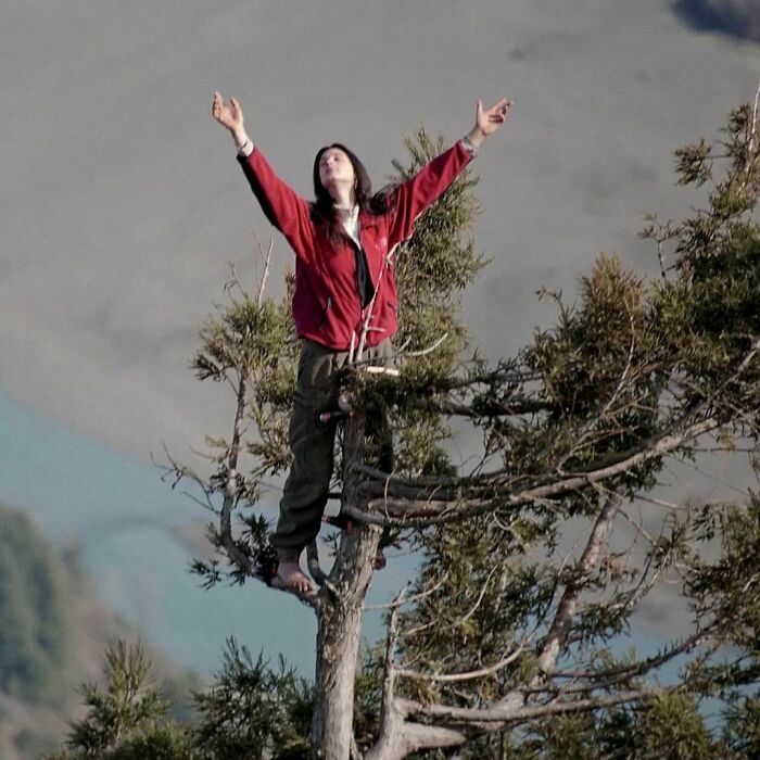 4. For 738 Days, Between 1997 And 1999, Julia ‘Butterfly’ Hill Lived In The Canopy Of An Ancient Redwood Tree In California Called Luna On Two 6 X 4 Foot Platforms