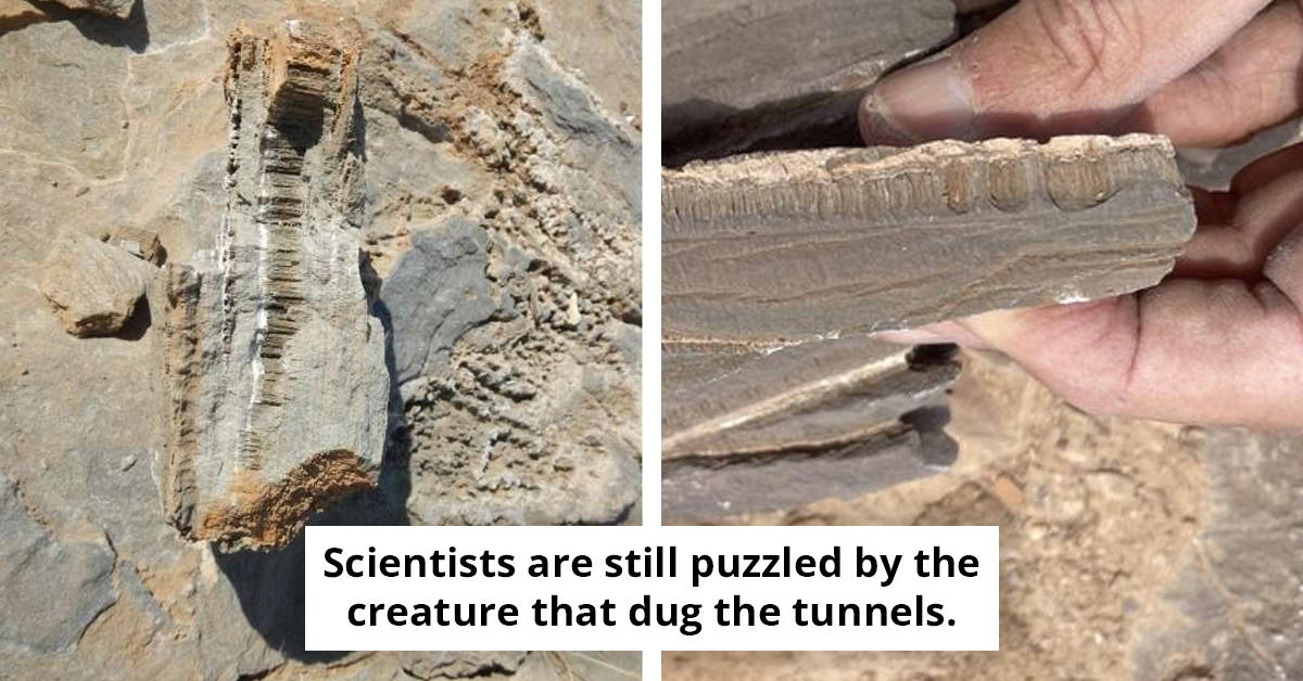 Scientists Stunned By Mysterious Tunnels Discovered Under Africa