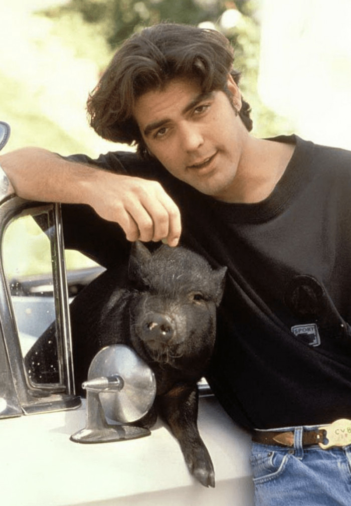 3. A handsome devil and his charming pet pig