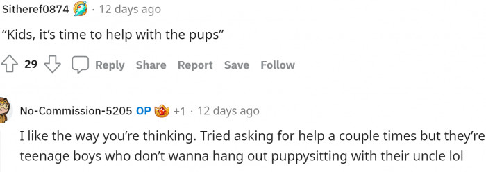 Some people had some good ideas for the older kids to help with the puppies, but looks like that wasn't much of an option.