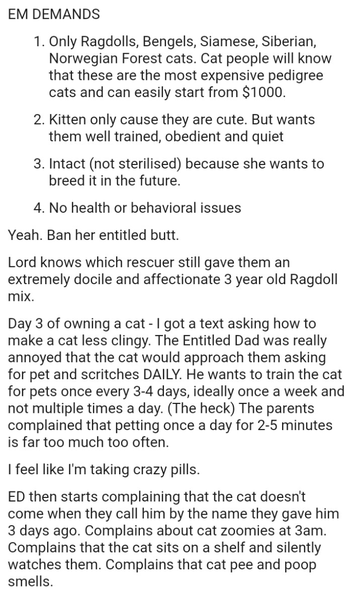 OP wonders who gave them an extremely docile and affectionate 3 year old Ragdoll mix