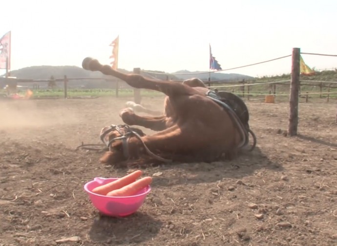 He even stretches his legs in the air. It's imposing.