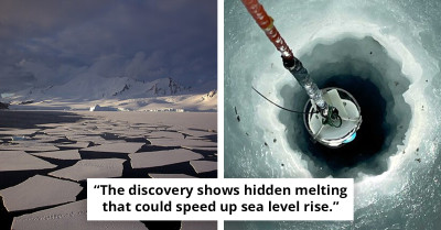 Scientists Discover Strange Crustaceans Hidden 1,500 Feet Under Antarctica