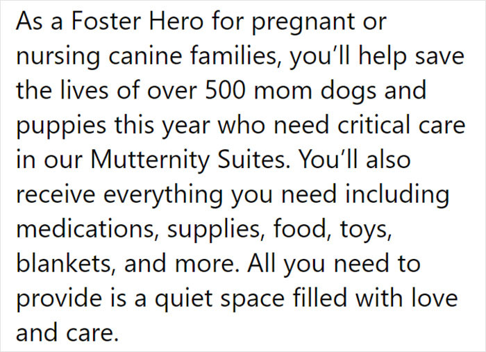 They are looking for foster parents: