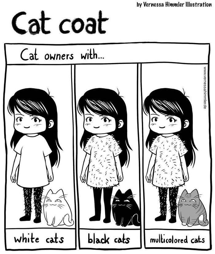 19. Cat coat