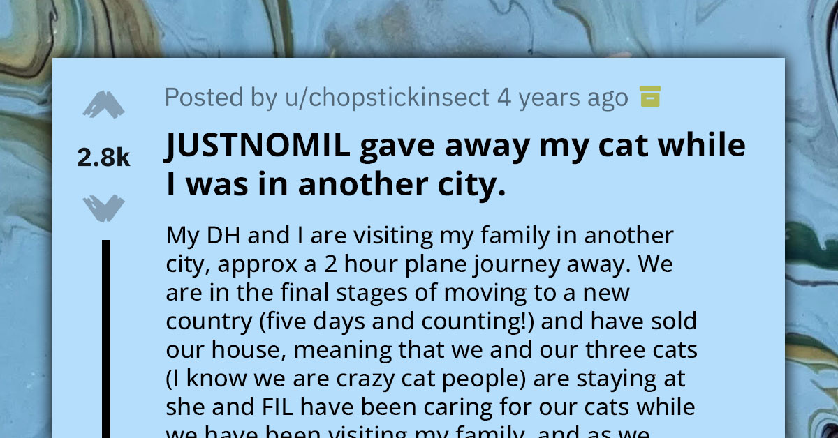 MIL Gives Away Son's Cat Despite Being Told To Wait For His Return, Risks Losing Contact With Her Son