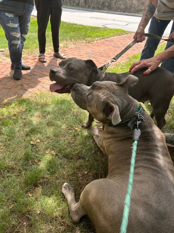 Rocky and Bella…