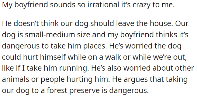 OP's boyfriend thinks it's too risky to take their small-medium-sized dog out of the house, he's concerned about potential accidents or harm from other animals or people.