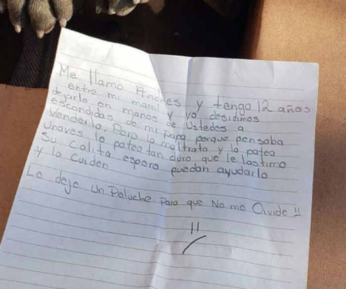 A letter was left with the puppy. Nothing else was found out about the kid that brought him to shelter, except that he was a 12-year-old boy named Andrés from Mexico.