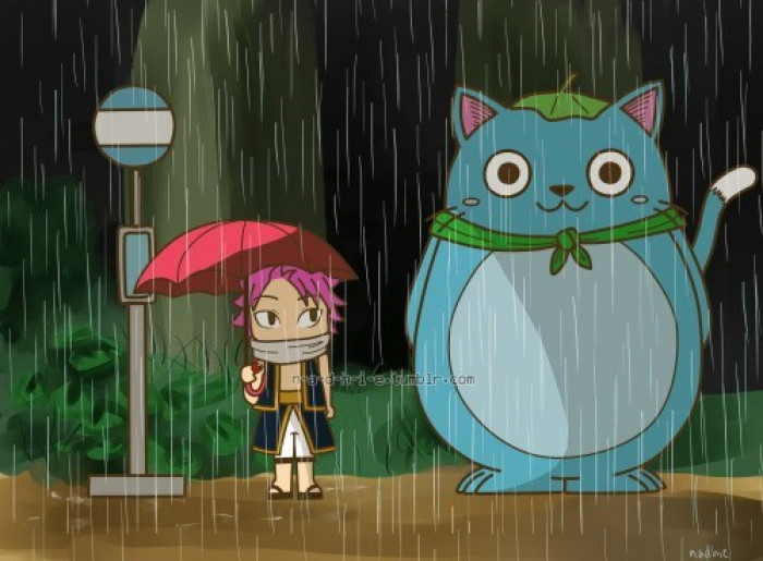 4. Fairy Tail + My Neighbor Totoro