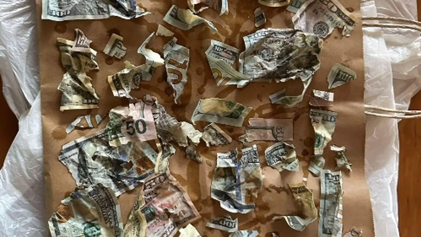 The couple documented the painstaking process of trying to salvage as much of the money as they could